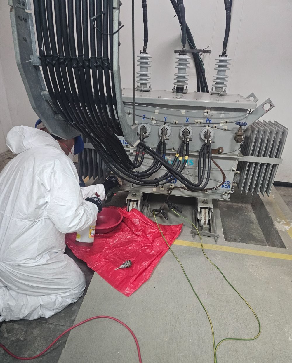 Trabajo real SENERPOT